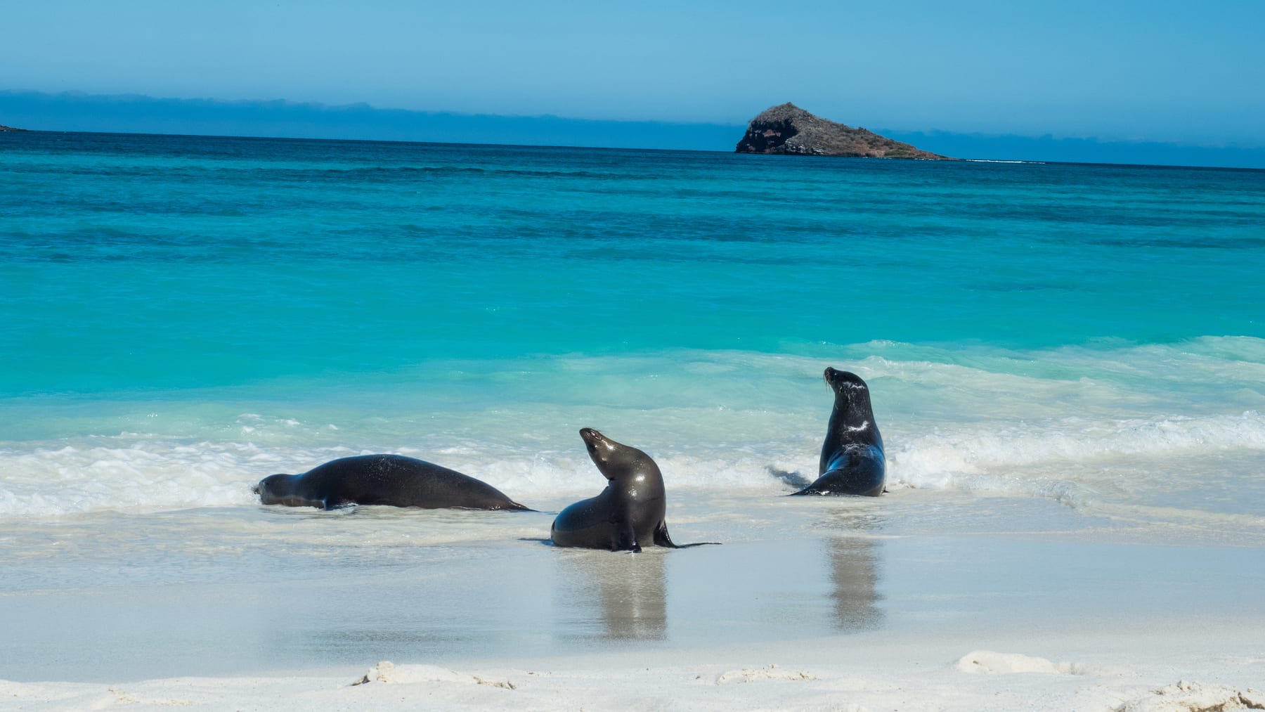 Gardner Bay, Ecuador
