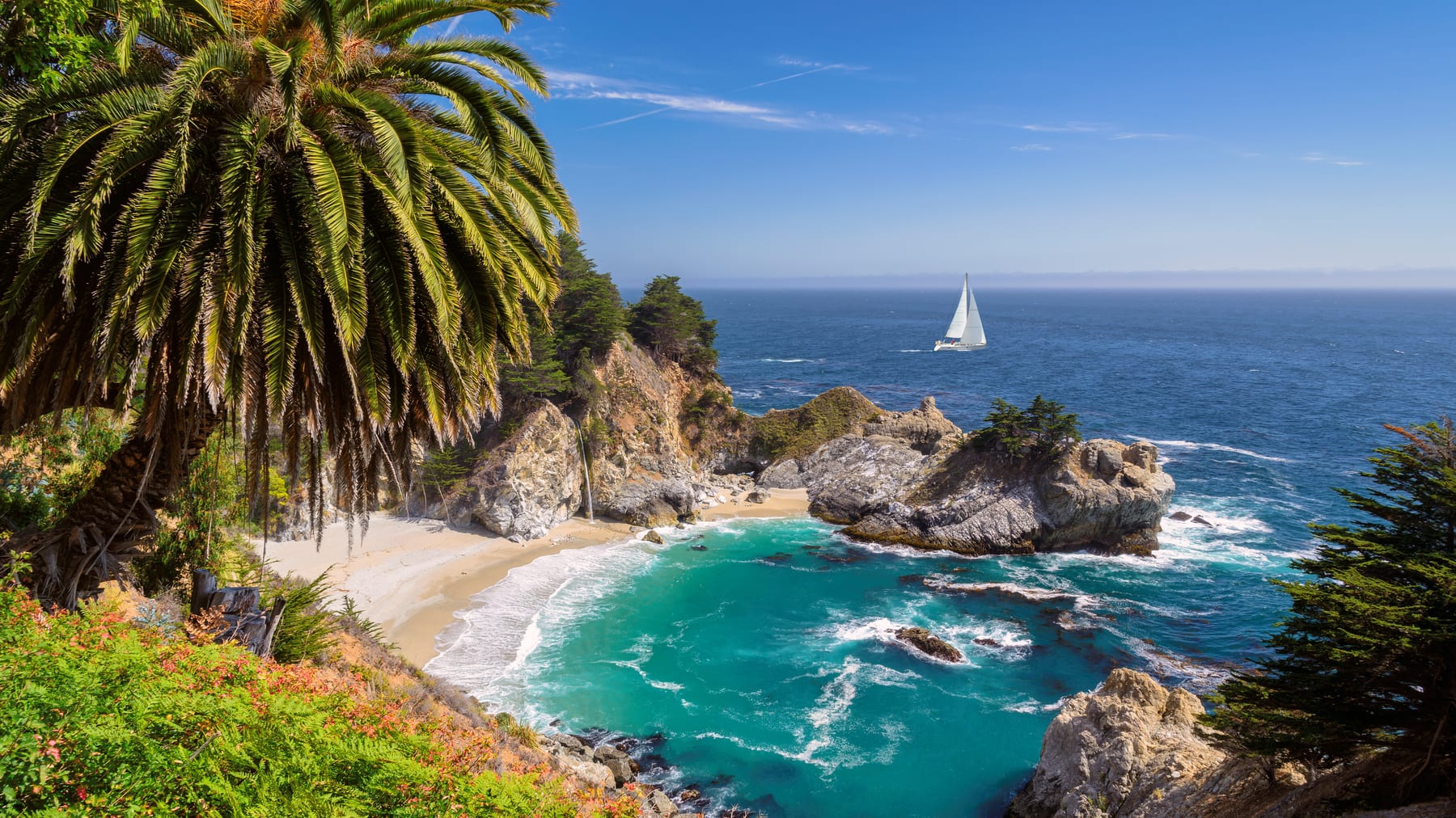 McWay Cove, United States