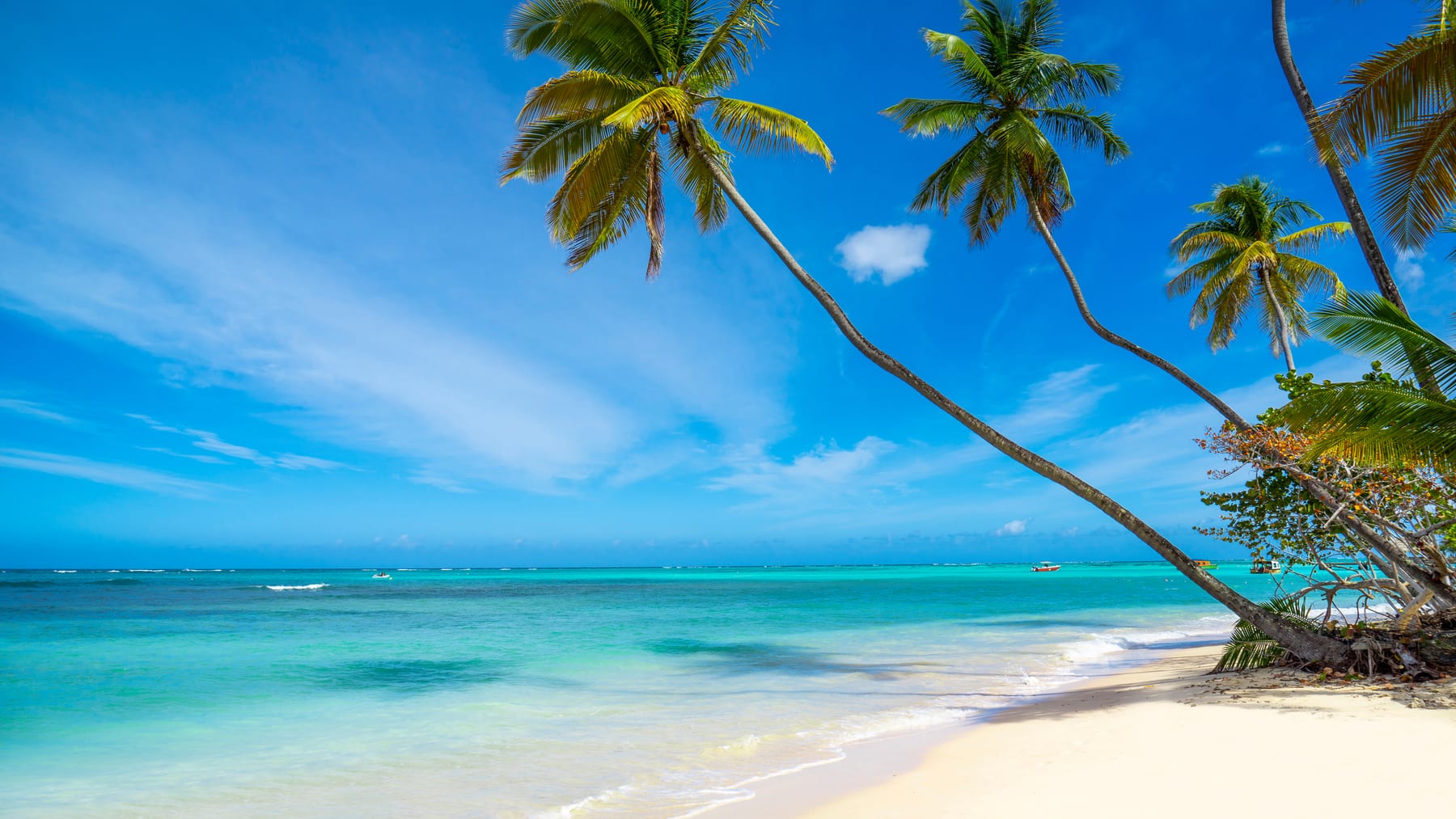 Pigeon Point, Trinidad and Tobago